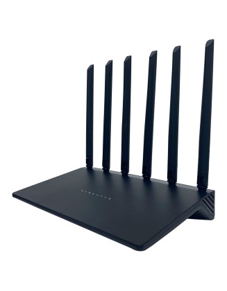 Wireless dual band gigabit router