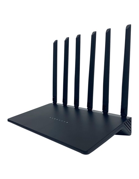 Wireless dual band gigabit router